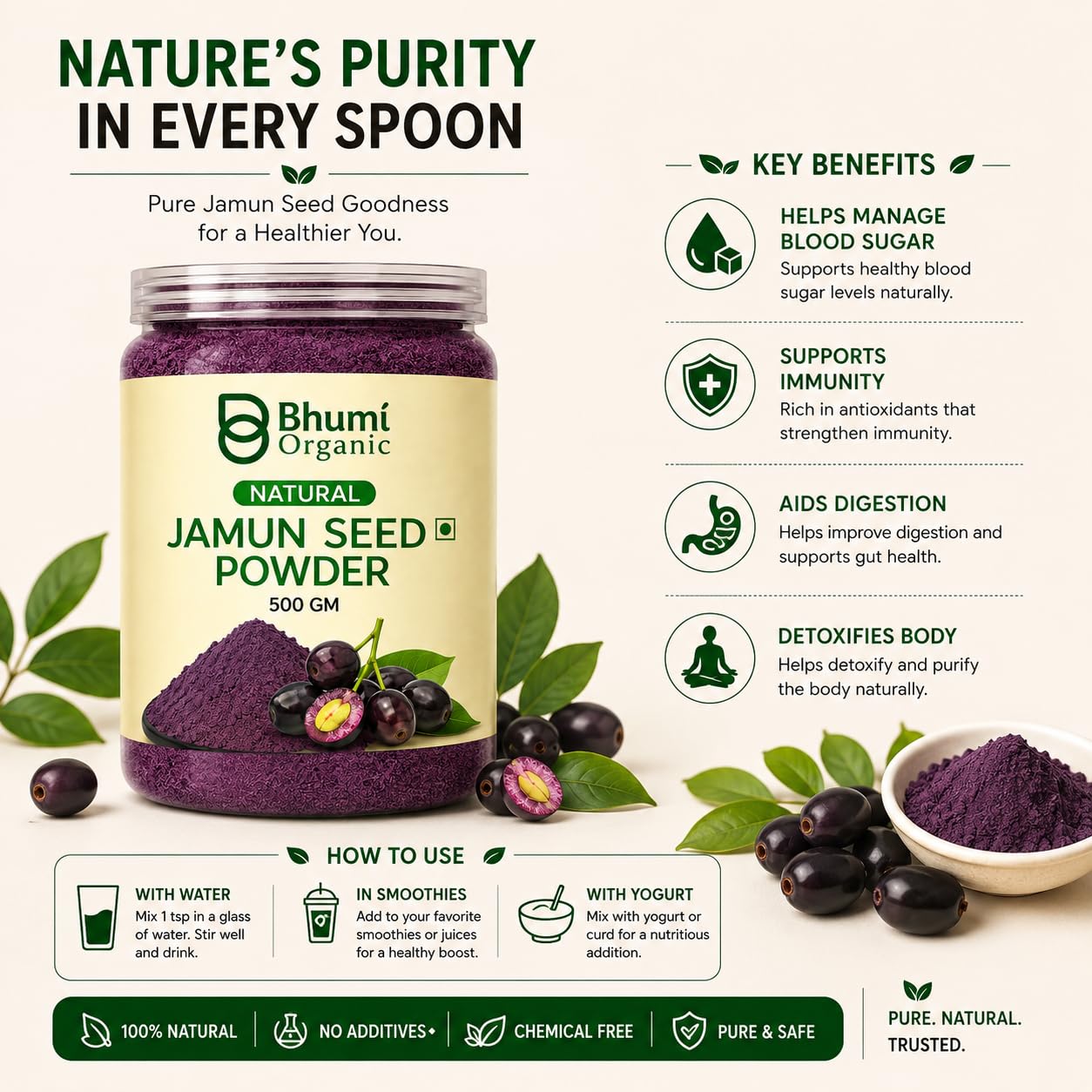 Bhumi Organic Ayurveda Jamun Seed Powder for Diabetes (500 gm) - Herbal Supplement