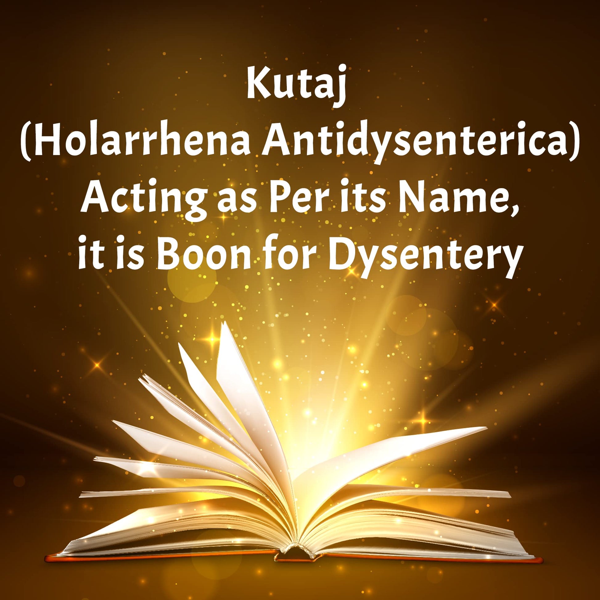 Planet Ayurveda Kutajghan Vati, 120 Tablets, Pack of 1- image 2