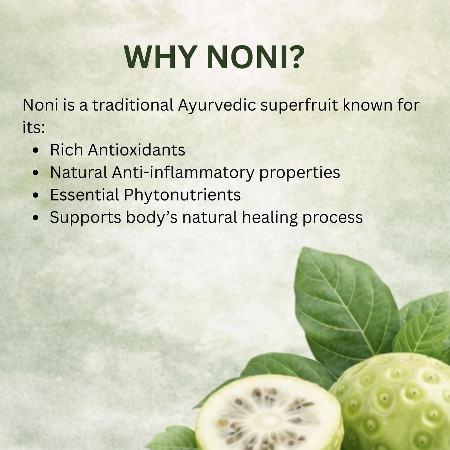 Ayurcaps Noni 500mg 60 Veg Capsules | Herbal Noni Fruit Extract Supplement For Immunity Support, Energy And Antioxidant Wellness | Ayurvedic Plant Based Daily Health Supplement (Pack of 1)