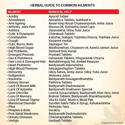 Baidyanath Triphala Churna - 400gm (Pack of 1)- image 2