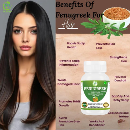 Fenugreek Capsules 500 mg – 60 Veg Capsules x 2 Pack | Methi Seed Extract | Natural Herbal Supplement | Vegan-Friendly