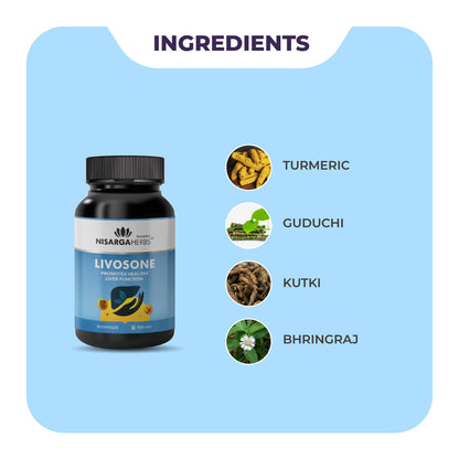 Nisarga Herbs Livosone Remove Toxins & Supports Healthy Liver Function,- image 8