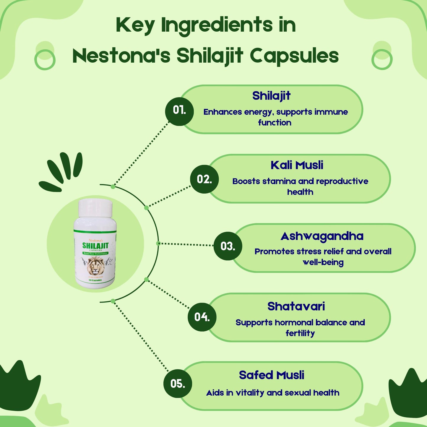 Nestona's SHILAJIT Capsules | Boost Your Performance | Pure and Natural | 100% Organic | Himalayan Shilajit | GOLD (60 Capsules)