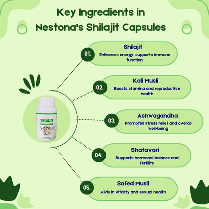 Nestona's SHILAJIT Capsules | Boost Your Performance | Pure and Natural | 100% Organic | Himalayan Shilajit | GOLD (60 Capsules)