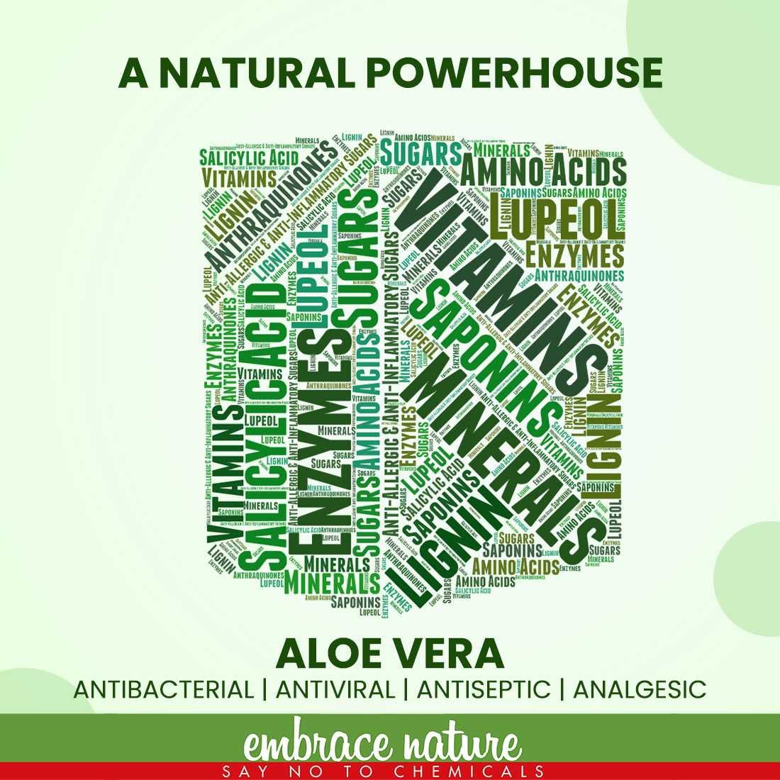 Nature Sure Aloe Vera Leaf Powder 200g with Rose Water 50ml - 1 Pack