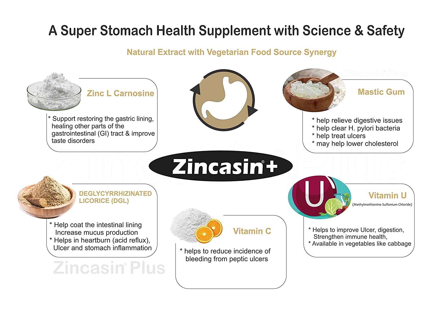 zincasin +plus Zinc L carnosine, Vitamin U, DGL Deglycyrrhizinated Lico- image 4