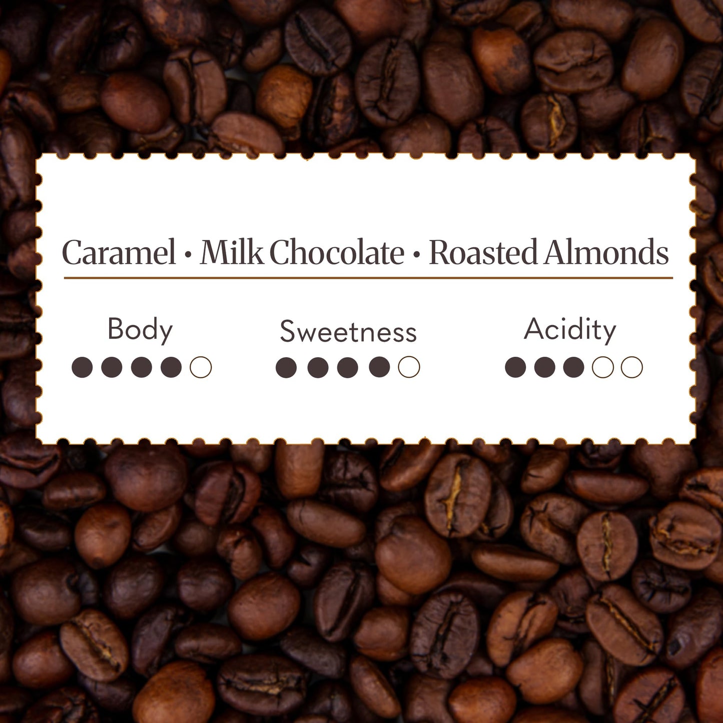 THIRD WAVE COFFEE | Signature South Indian Filter | Dark Roast | Moka Pot | Fine Grind | 250 grams | Pouch