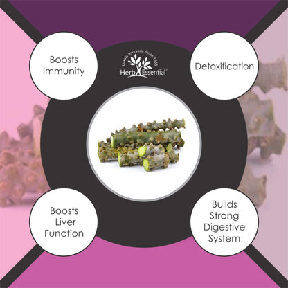 Herb Essential Guduchi/Giloy Powder | Immunity Booster | 50 g- image 3