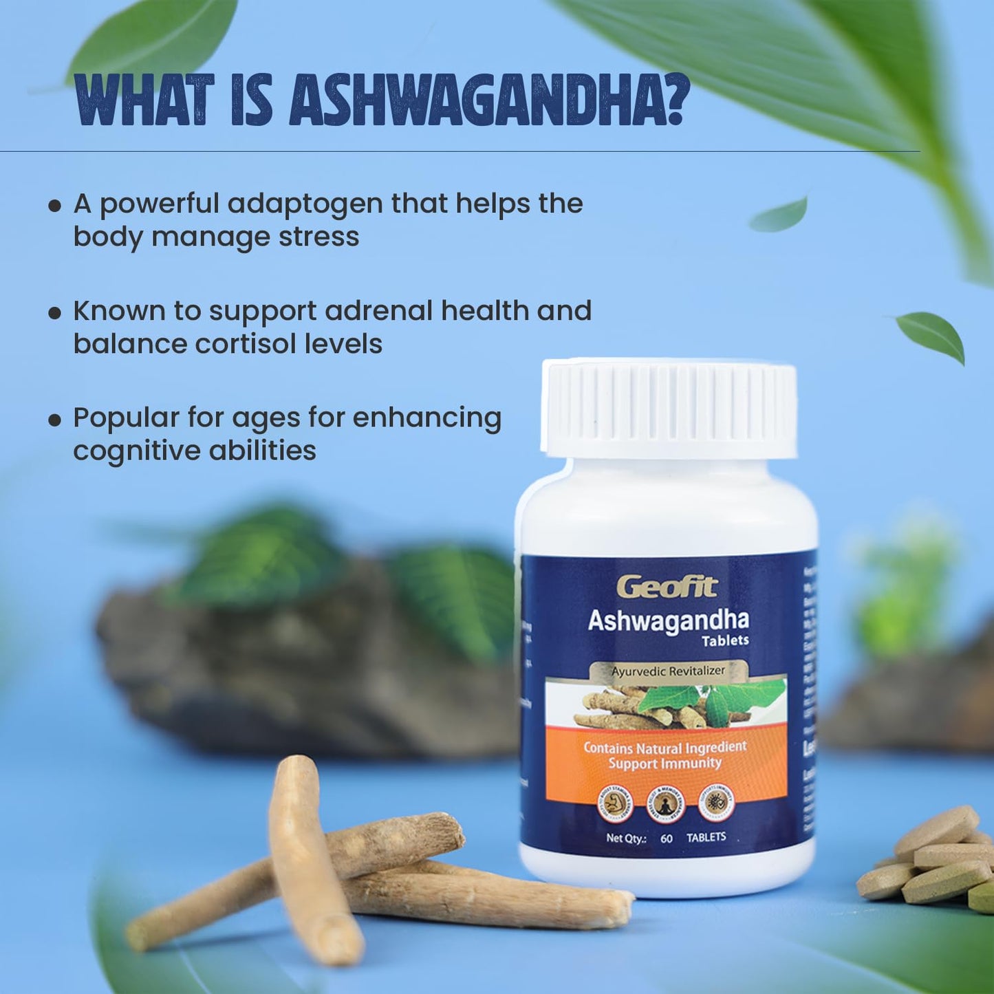 Geofit Ashwagandha 60 Tablets (Pack of 3) | Ayurvedic Tablets for Immunity Boosting Well Being & Increasing Strength & Stamina | Stress Relieving Tablet