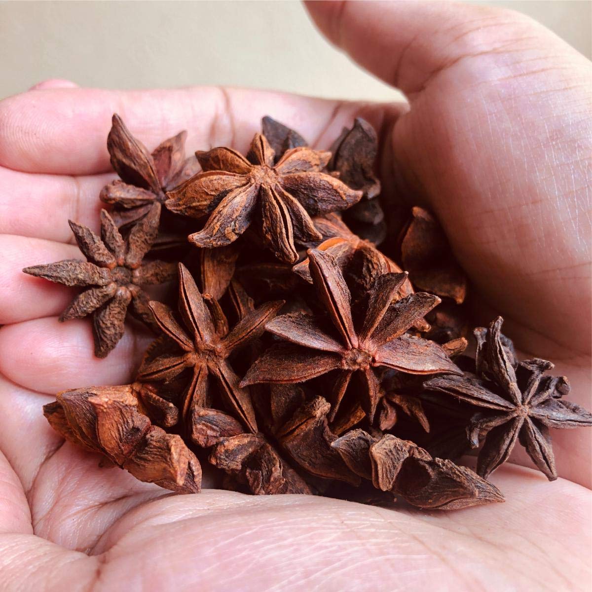 EL The Cook Whole Star Anise Seeds (Chakri Phool) Spice | Fresh, Pure & Natural, Vegan, Gluten Free, NON-GMO, Resealable Bag | For Cooking, Chinese, Tea, Baking etc | 80 gm
