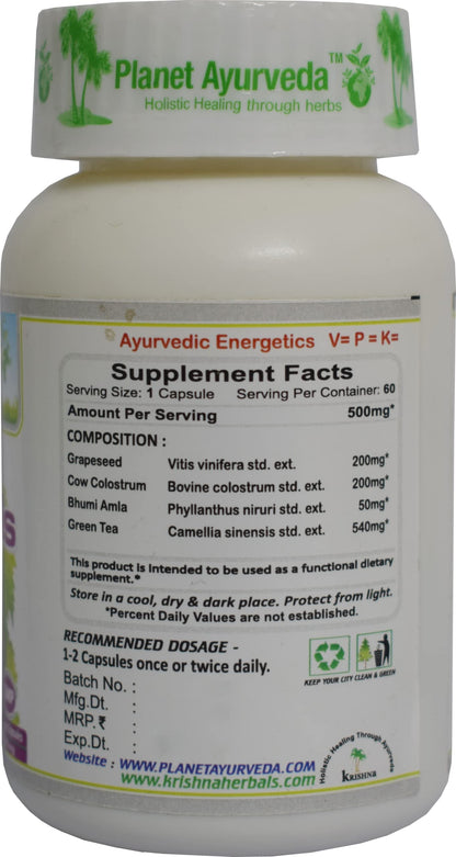 Planet Ayurveda Daily Essentials Capsules Fights Against Illness and Ke- image 2