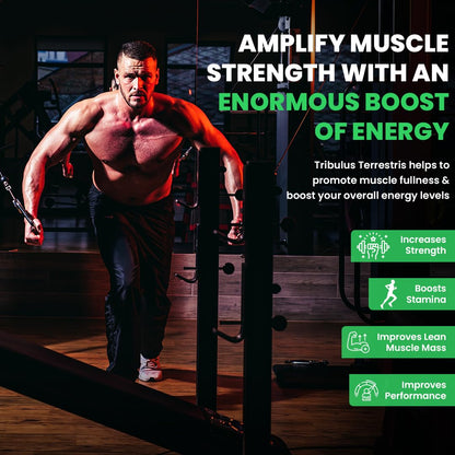 Naturyz Testo-6 Plant based Supplement For Men 2100mg per serving with Maximum Strength 1000mg Tribulus Terrestris, Safed Musli,Kaunj,Ashwagandha, Fenugreek & Panax Ginseng for Muscle gain-90 Tablets