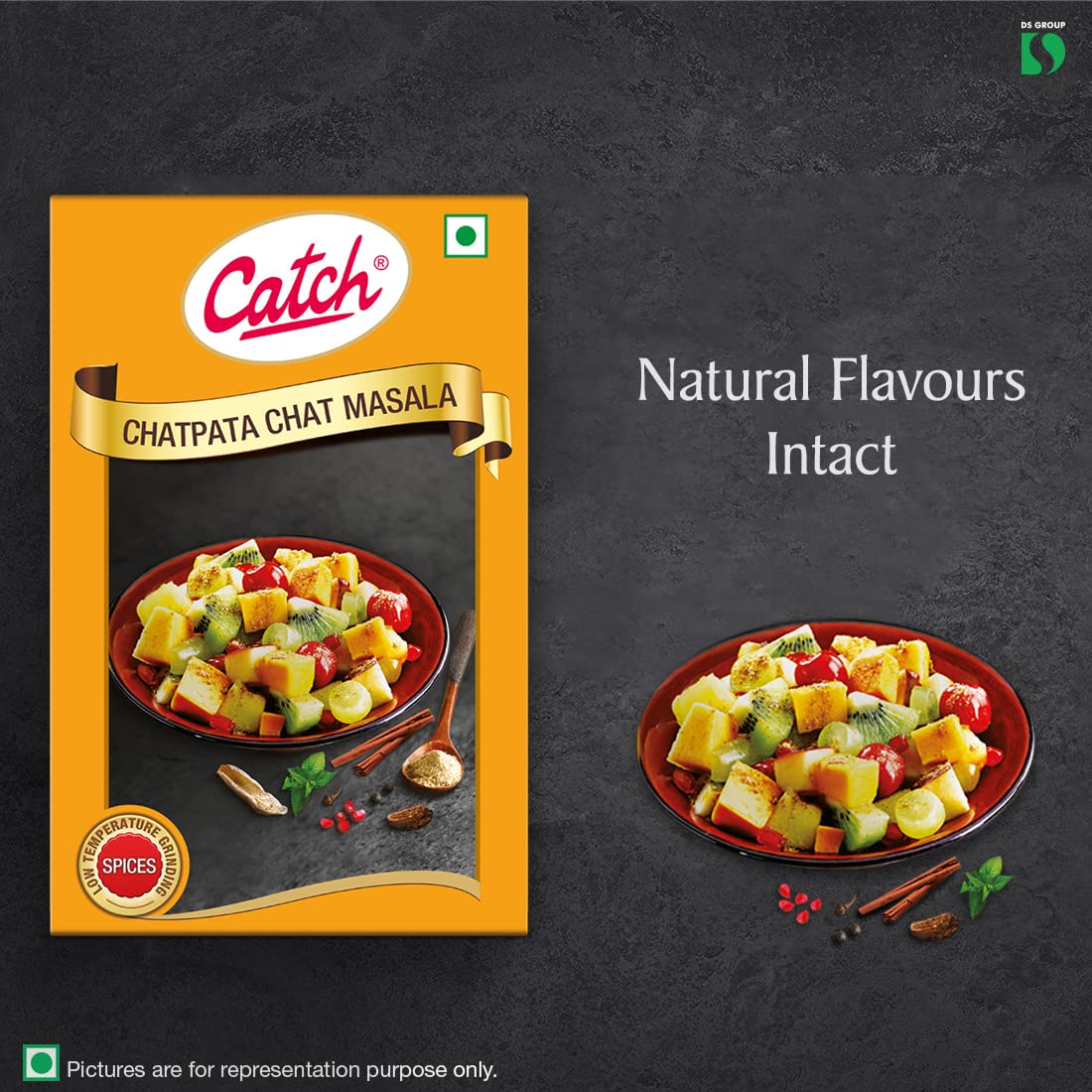 Catch Chat Pata Masala, 100g
