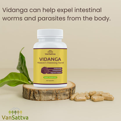 VanSattva Vidanga Capsule – 60 Caps, 650mg each