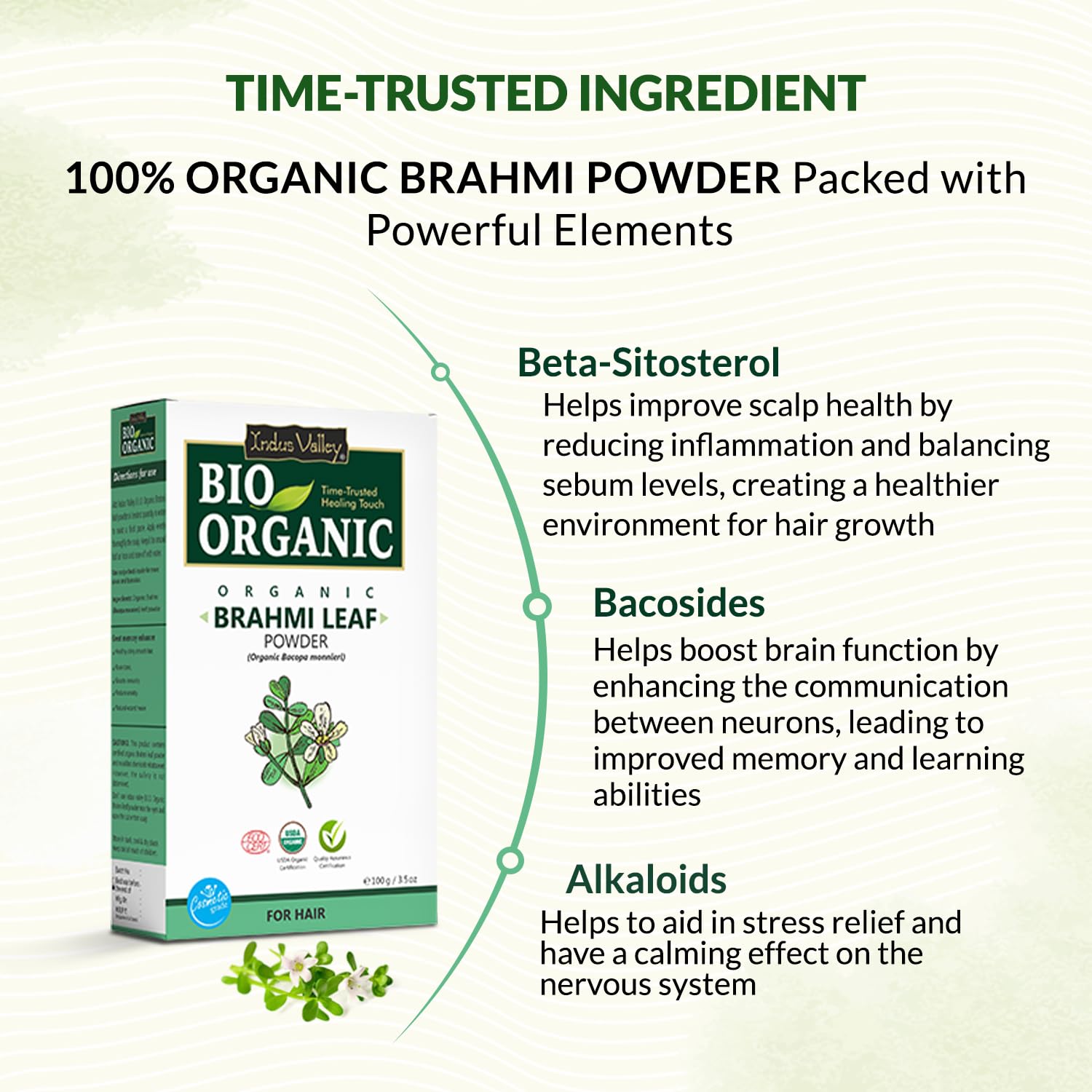 Brahmi Leaf Powder 100g | Natural Ayurvedic Herb for Brain Health, Memo- image 8
