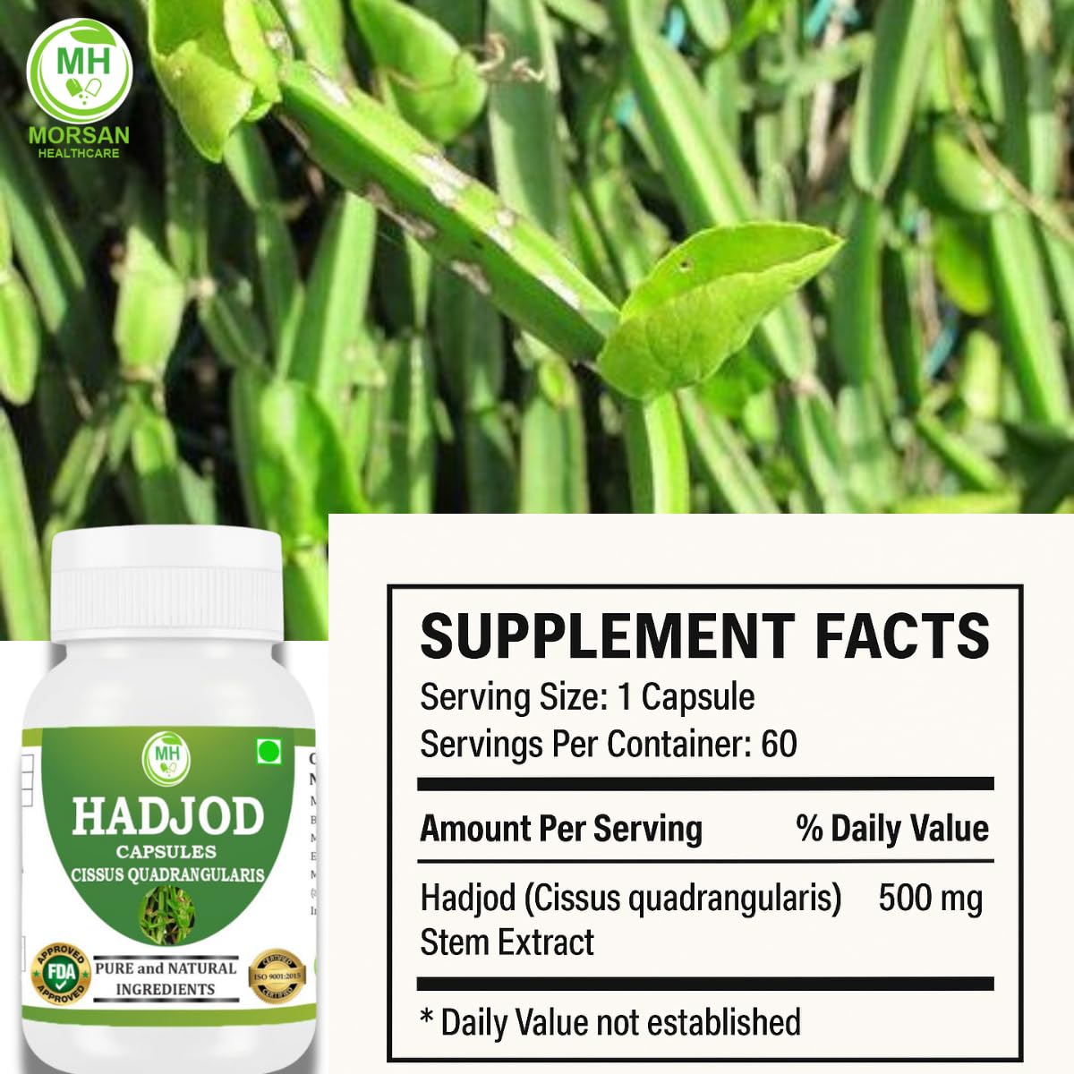 MORSAN HEALTHCARE | Hadjod Capsules 500mg – 60 Count | 2 Pack | Vegetarian | Plant-Based | Herbal Supplement | No Artificial Additives | Gluten-Free | Organic |