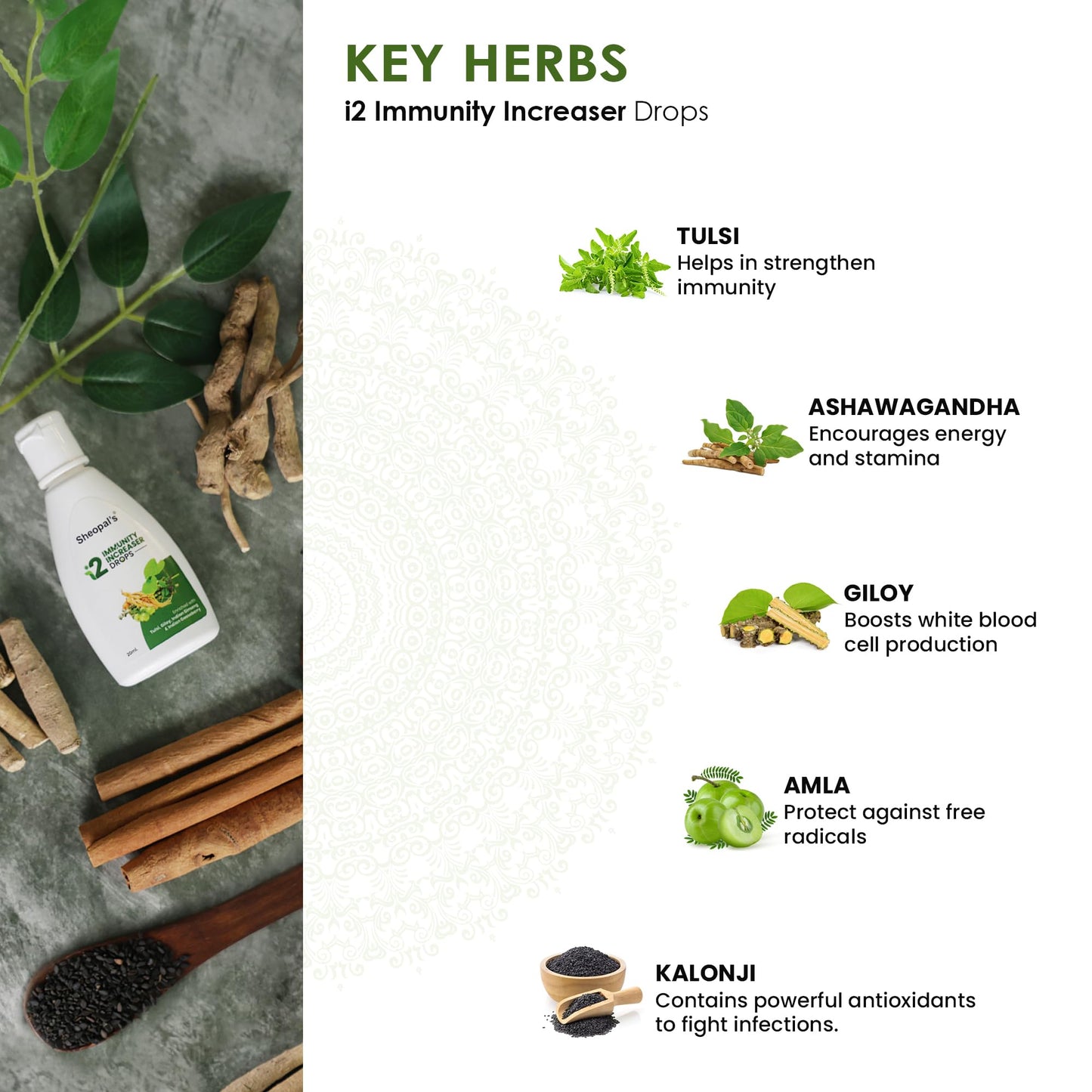 Sheopal’s I2 Immunity Booster Drops (20 ml) – Ayurvedic Blend of Tulsi,- image 3