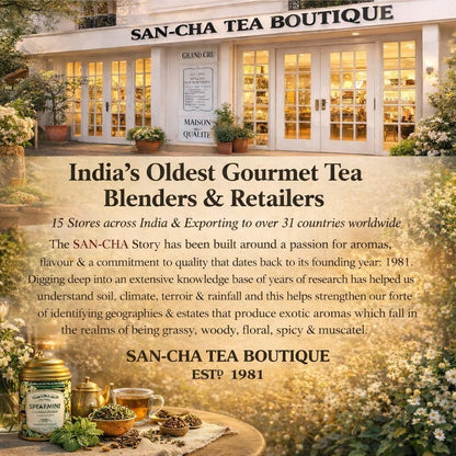Sancha Dark Roast Darjeeling Tea | 25 Pyramid Bags | Roasted Darjeeling with Floral & Caramel Notes | Master Taster’s Selection
