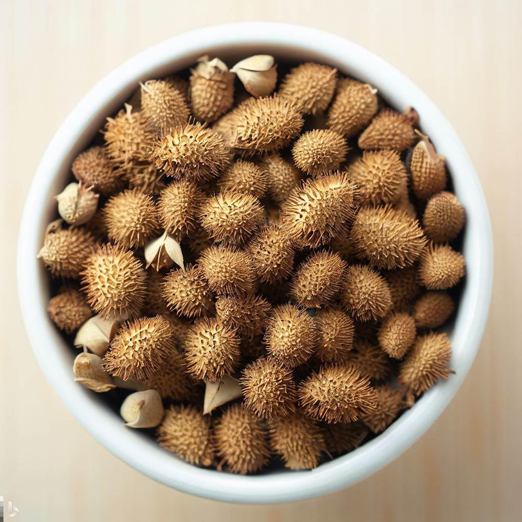 VRIJ Gokhru Powder 150g | Tribulus Terrestris | Organic Gokshura for Vi- image 2