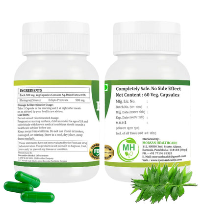 Morsan Healthcare NEEM Capsules – 60 Veg Capsules | Pure Azadirachta Indica Extract | Natural Plant-Based Herbal Supplement | Ayurvedic Wellness Formula | Pack of 2