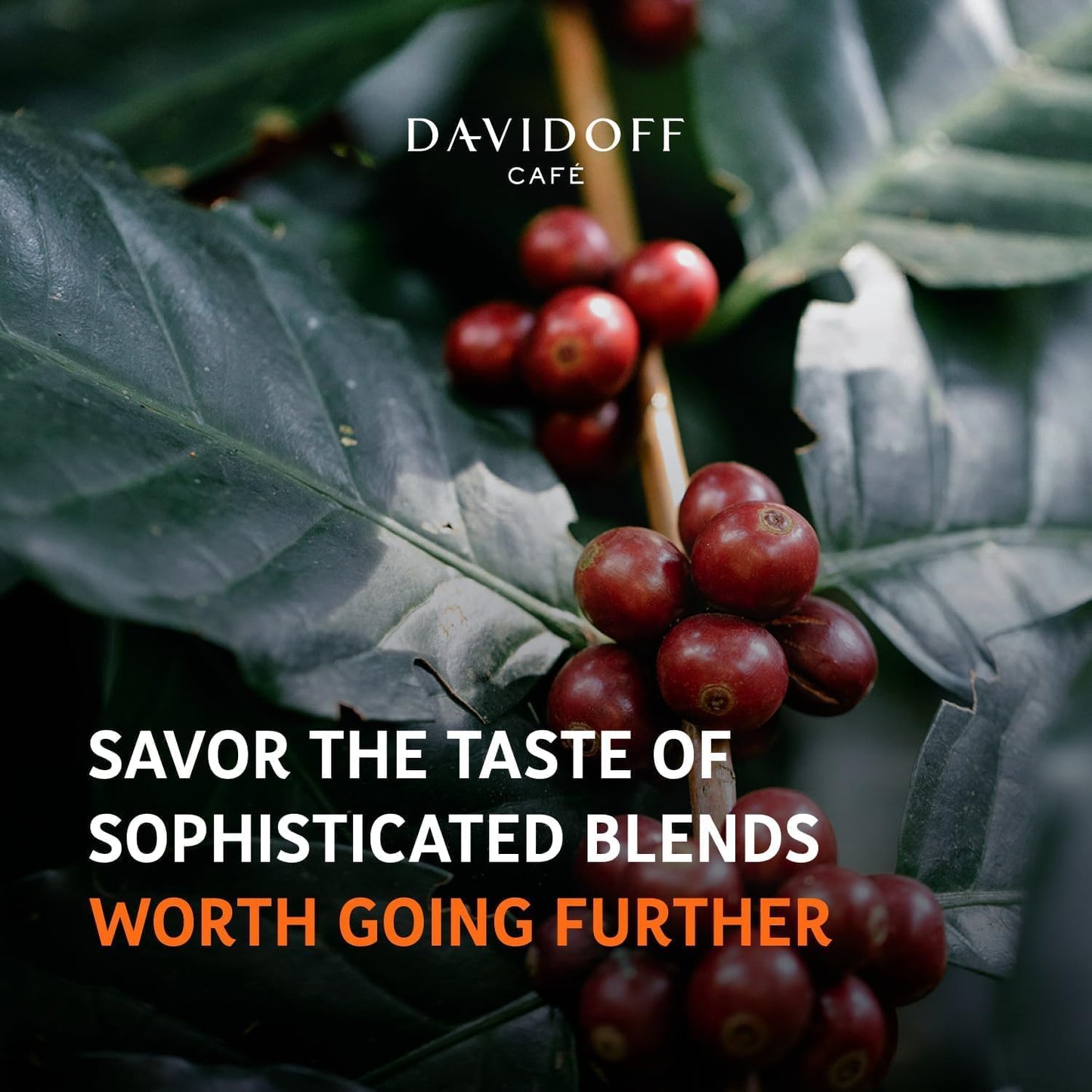 Davidoff espresso 57 Dark & Chocolatey Instant Coffee, 100% Arabica 100g (From Germany)