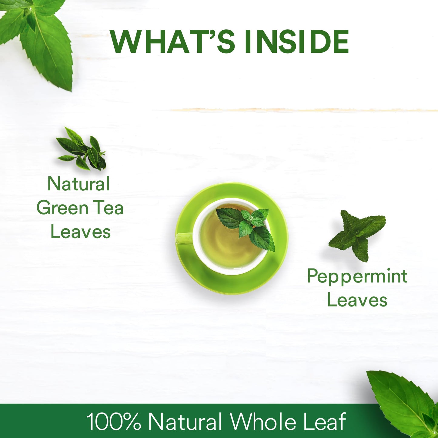 The Tea Ark Mint Green Tea (50 Gm) Pouch Loose Leaves | Natural Herbal Tea | Whole Leaf Blend (25 Servings)
