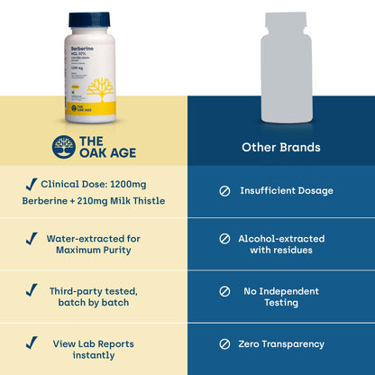 Premium Berberine Supplement with Milk Thistle – 97% Pure Berberine HCL from Himalayas – 3rd Party Lab Verified – Supports Healthy Blood Sugar, Metabolism & PCOS Wellness – 1200mg Per Serving