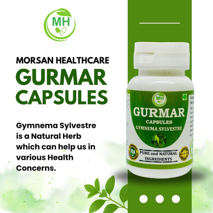 MORSAN HEALTHCARE | Gurmar (Gudmar) Capsules 500mg – 60 Count | 2 Pack | Vegetarian | Plant-Based | Herbal Supplement | No Artificial Additives | Gluten-Free | Organic | Gymnema sylvestre | Dia Free Herbal Capsules