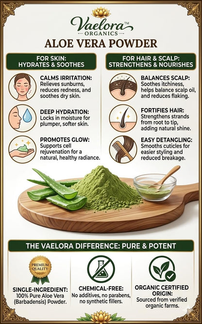 100% Pure Aloe Vera Powder for Skin & Hair Care | Natural Moisturizing, Acne Control & Hair Nourishment | Herbal Face & Hair Pack | Chemical-Free (100g)