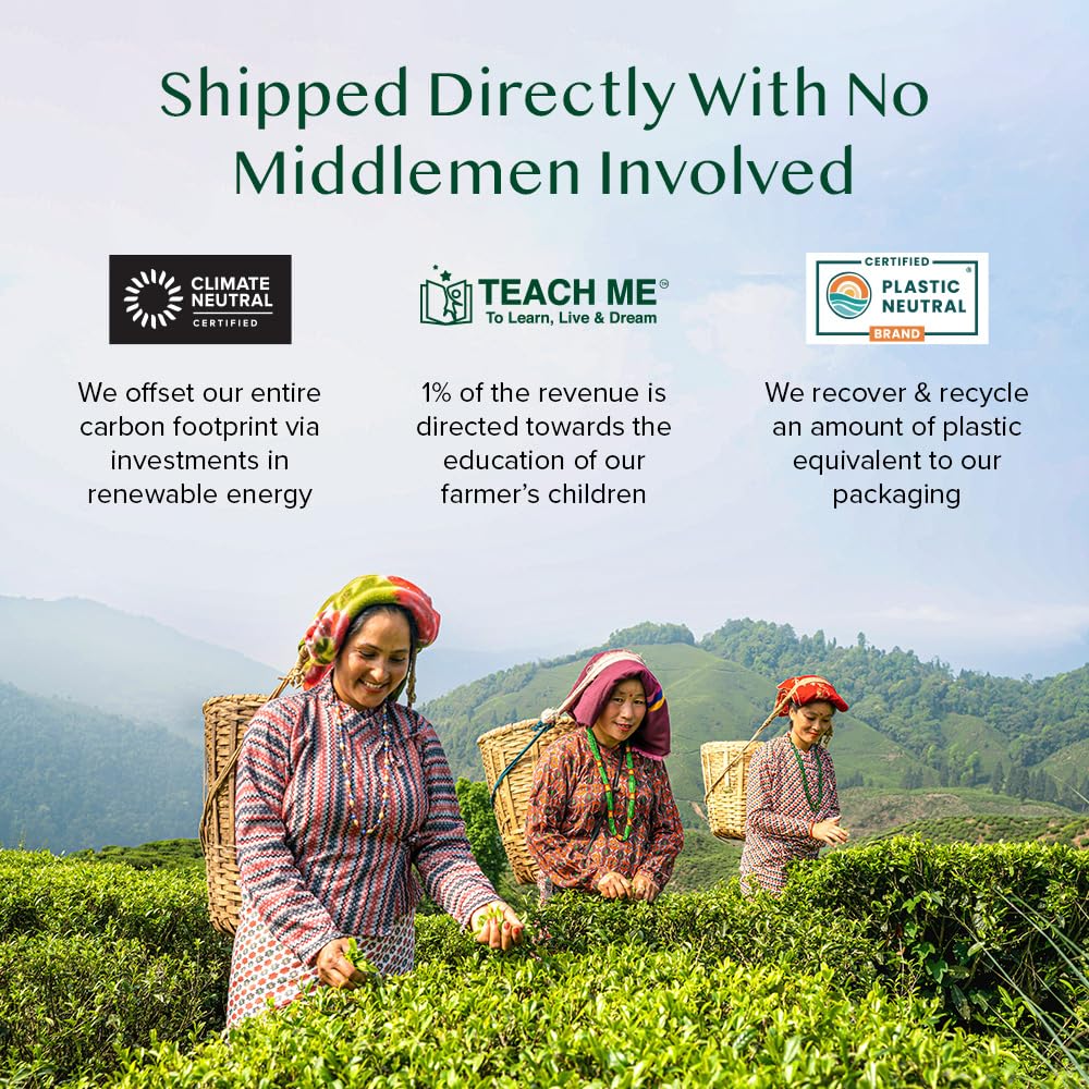 VAHDAM, Organic Darjeeling Black Tea Bags - 50 Pyramid Tea Bags | High Caffeine, Non-GMO, Gluten-Free | Robust & Flavoury | Unblended Second Flush Darjeeling Tea Bags | Resealable Ziplock Pouch