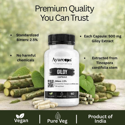 Ayurcaps Giloy 500mg 60 Veg Capsules | Guduchi Ayurvedic Herbal Supplement | Supports Immunity, Detox & Daily Wellness | Natural Antioxidant & Metabolic Support | Vegan, No Preservatives