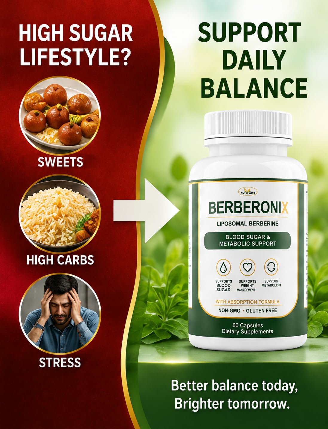 Berberonix™ Berberine 500 mg Capsules | Supports Healthy Blood Sugar Levels & Metabolism | High Strength Herbal Extract | Daily Wellness Supplement | 60 Veg Capsules