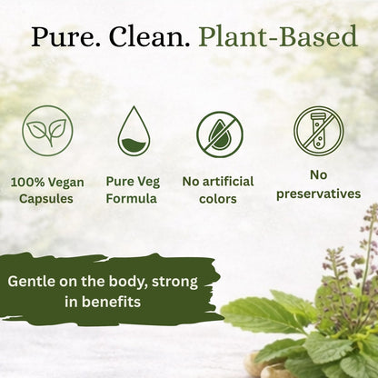 Ayurcaps Tulsi 500mg 60 Veg Capsules Holy Basil Ayurvedic Herbal Supplement Supports Immunity, Throat And Respiratory, Stress Wellness Natural Antioxidant And Daily Care