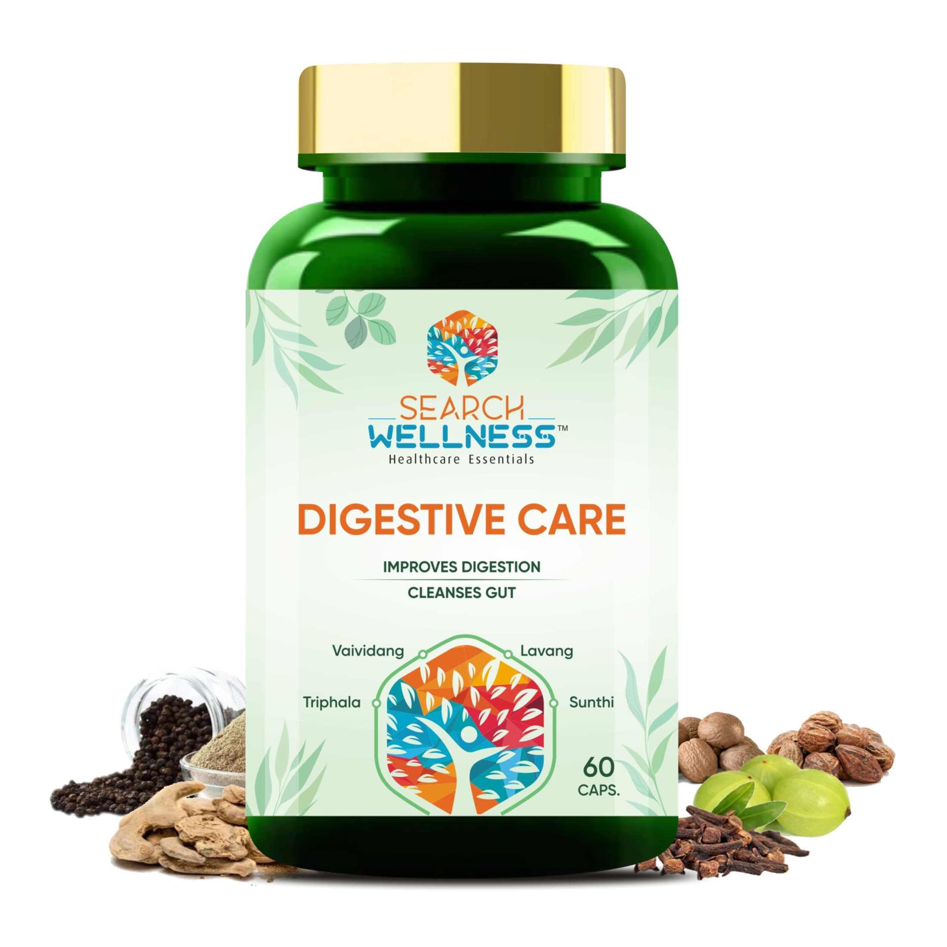 SEARCH WELLNESS Digestive Care 60 Capsules Pack of 1 | Natural & Herbal Capsules