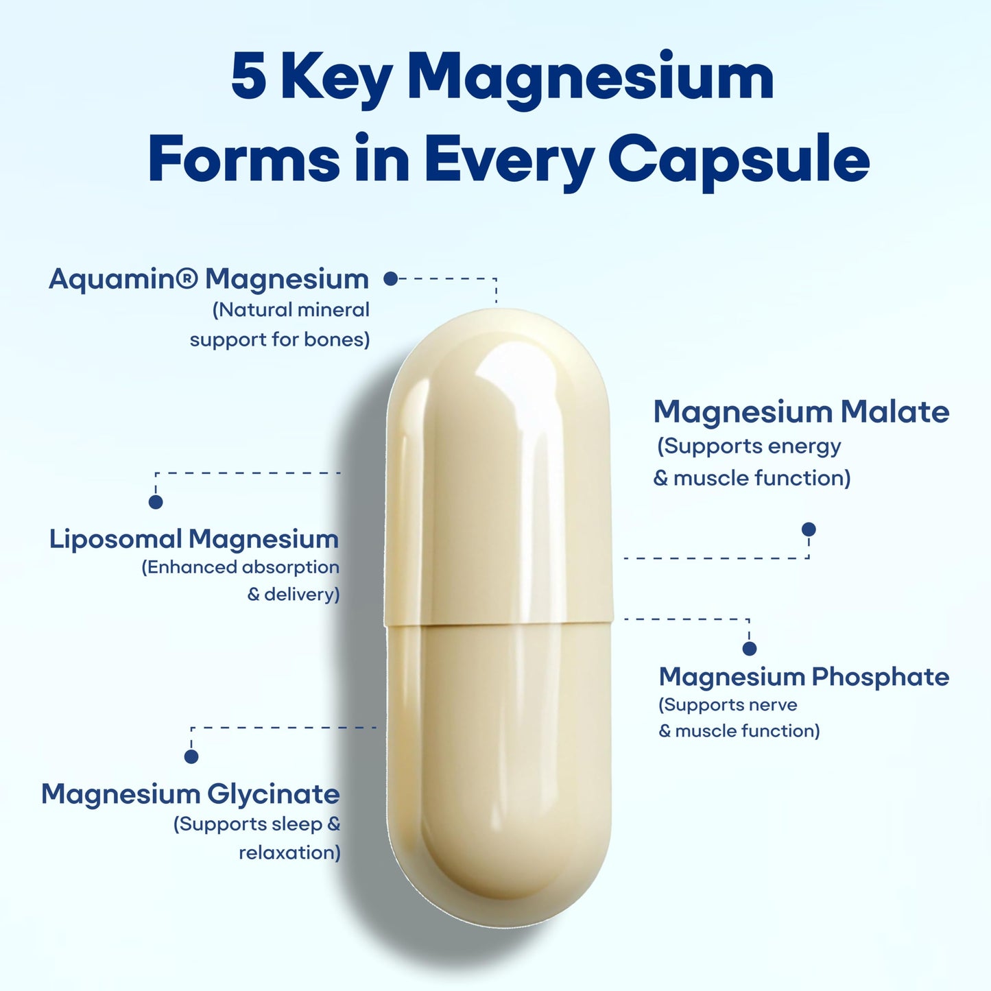 Active Foods 5X Magnesium Capsules, 330mg Elemental Magnesium with Vit D3, Vit K2 + Zn, Advanced Sleep Support, Muscle & Nerve Function, Bone Health, Metabolic & Energy Support, Immunity, 60 Capsules