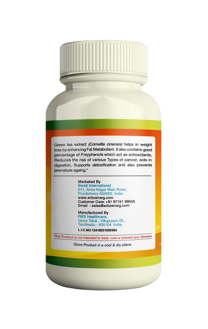 ERBZENERG Green Tea Extract (Camellia sinensis)500mg 60 Capsules (Pack of 1)