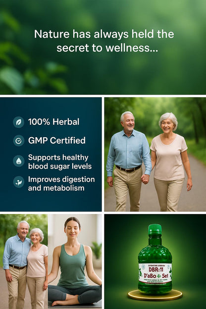 DBR-11 Diabo Set, Insulin Plant Leaves Base Kashayam, Ayurvedic Health Supplement for balancing sugar levels