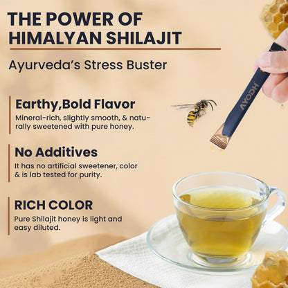 AYODH Pure Himalayan Shilajit Honey Sticks with Natural Honey Caramel 30 SingleServe Packets | Boost Energy Immunity Detoxification | Rich in Fulvic Acid Trace Minerals Perfect for Men Women | Pack of 2