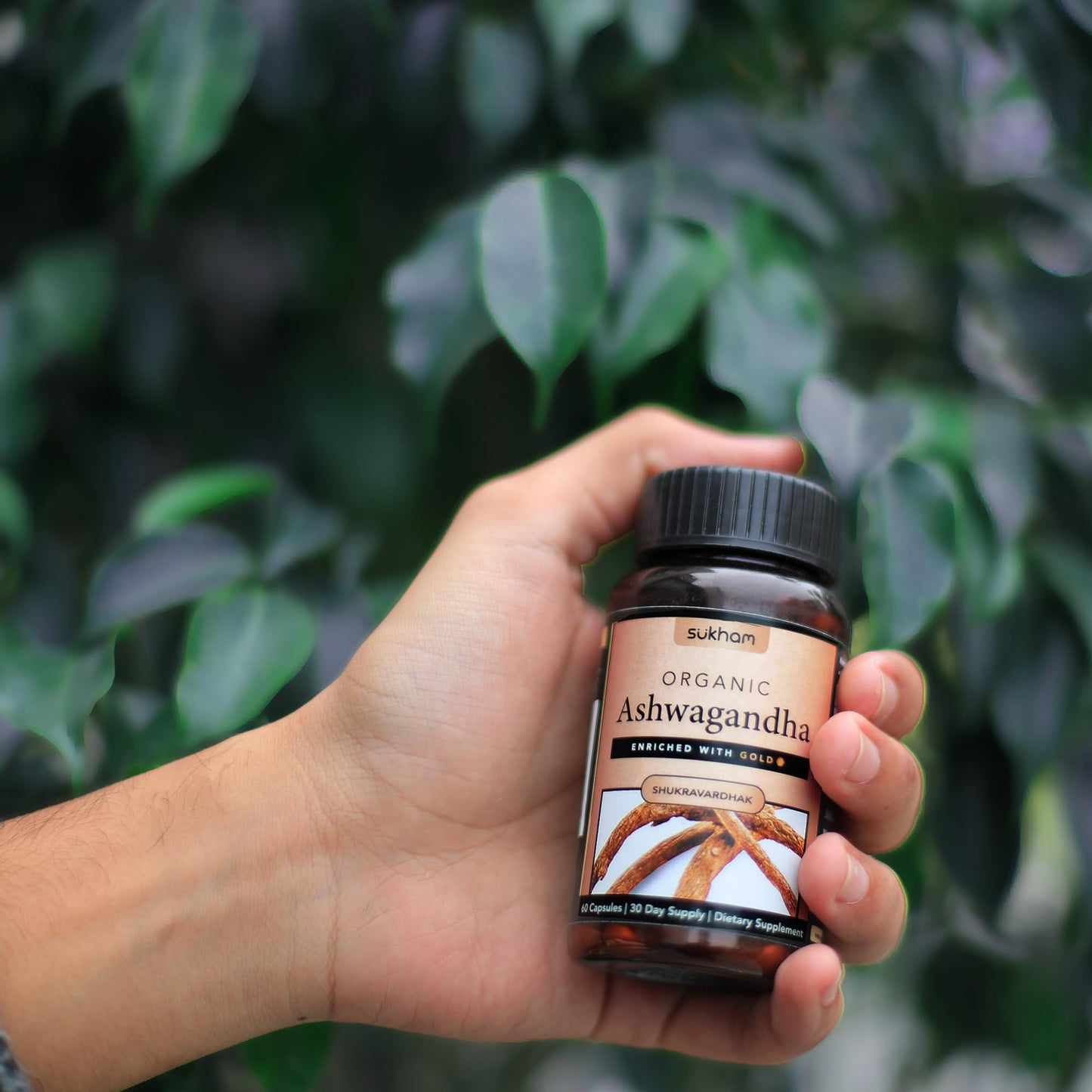 Sukham Ashwagandha Capsules | Processed using TTT-120 | 500 mg - 60 Capsules | Benefits include sound sleep, relaxed lifestyle, better immunity & recovery | For Both Men & Women