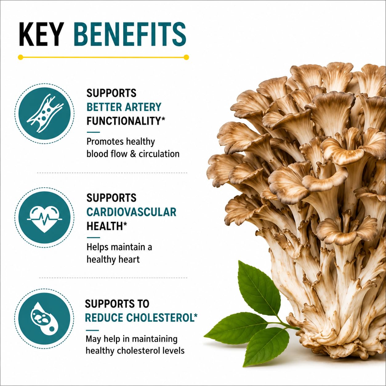 Maitake Mushroom Extract Powder, 60g