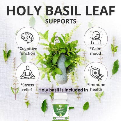Morsan Healthcare TULSI Capsules – 60 Veg Capsules | Pure Holy Basil Extract (Ocimum sanctum) | Natural Ayurvedic Herbal Supplement | Plant-Based Formula | Pack of 1