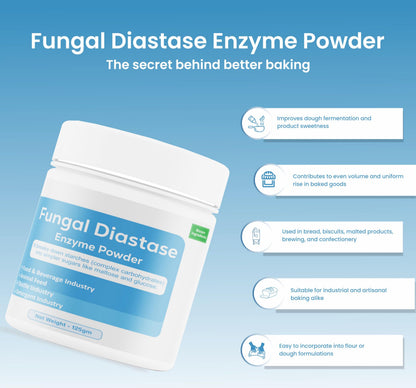 Fungal Diastase Enzyme Powder by Bioven Ingredients, Non-GMO Supplement,Helps in Dough Fermentation, Dietary Supplements/Food and Beverages