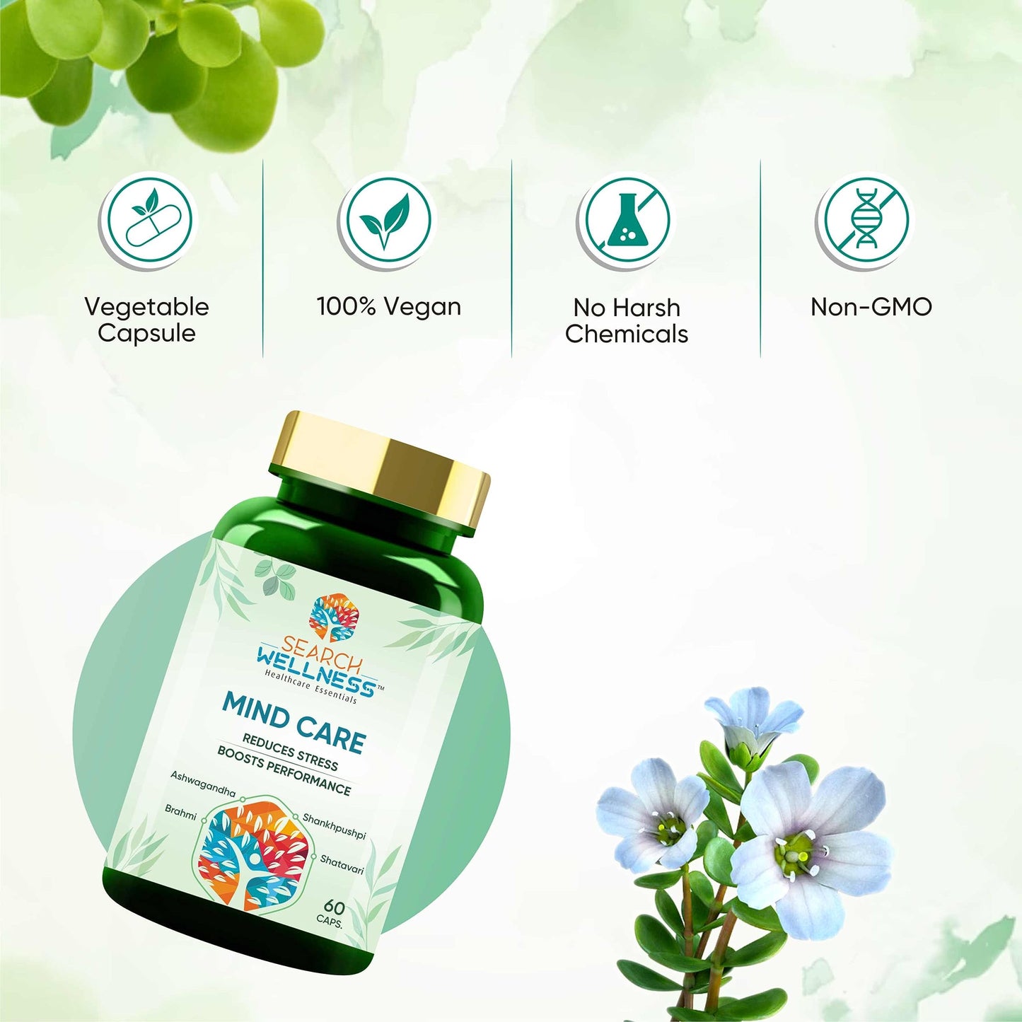 SEARCH WELLNESS Brain Booster For Kids & Adults 60 Capsules Pack of 1 |- image 3