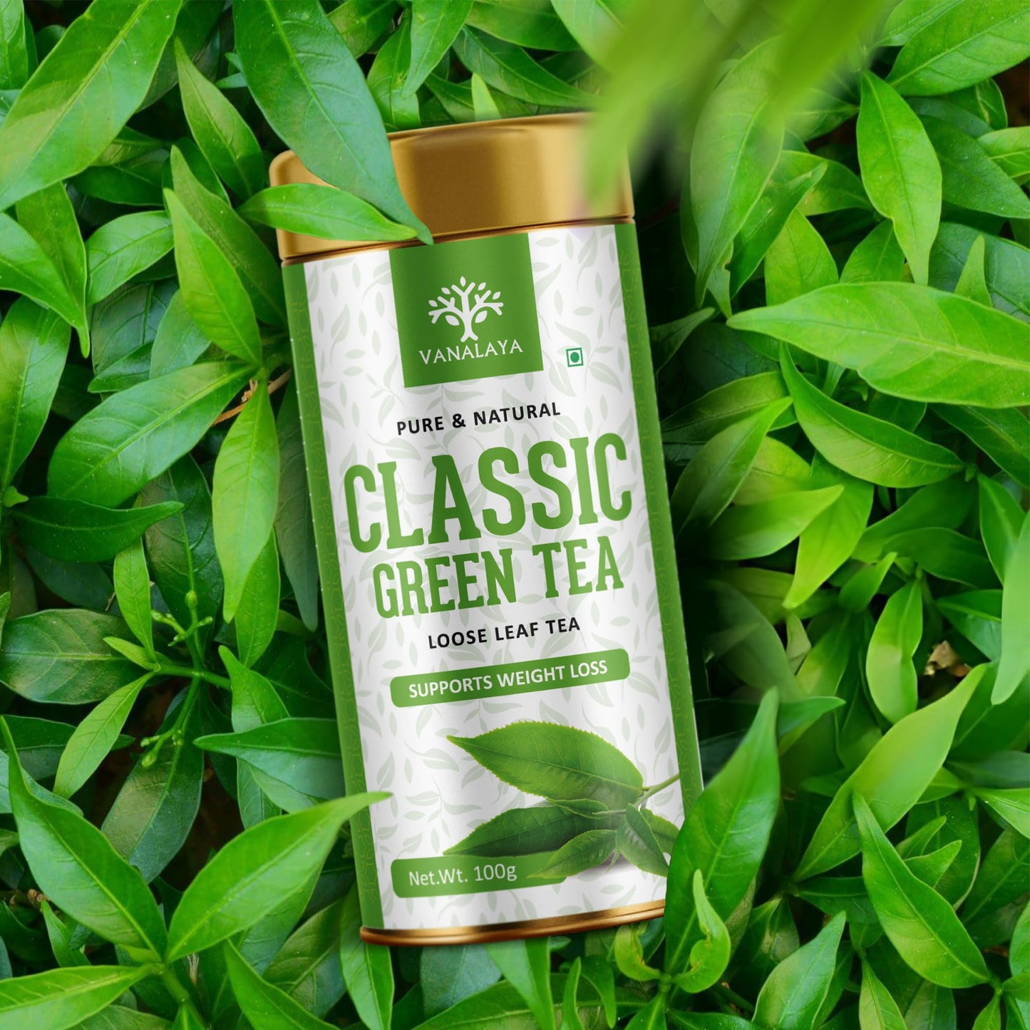 Vanalaya Classic Green Tea For Weight Loss Loose Leaf Green Tea Tin 100gm