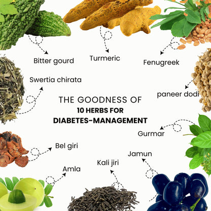 SURBHI UTPAD Karela Jamun Ayurvedic Diabetic Detox Powder with 10 Herbs- image 6