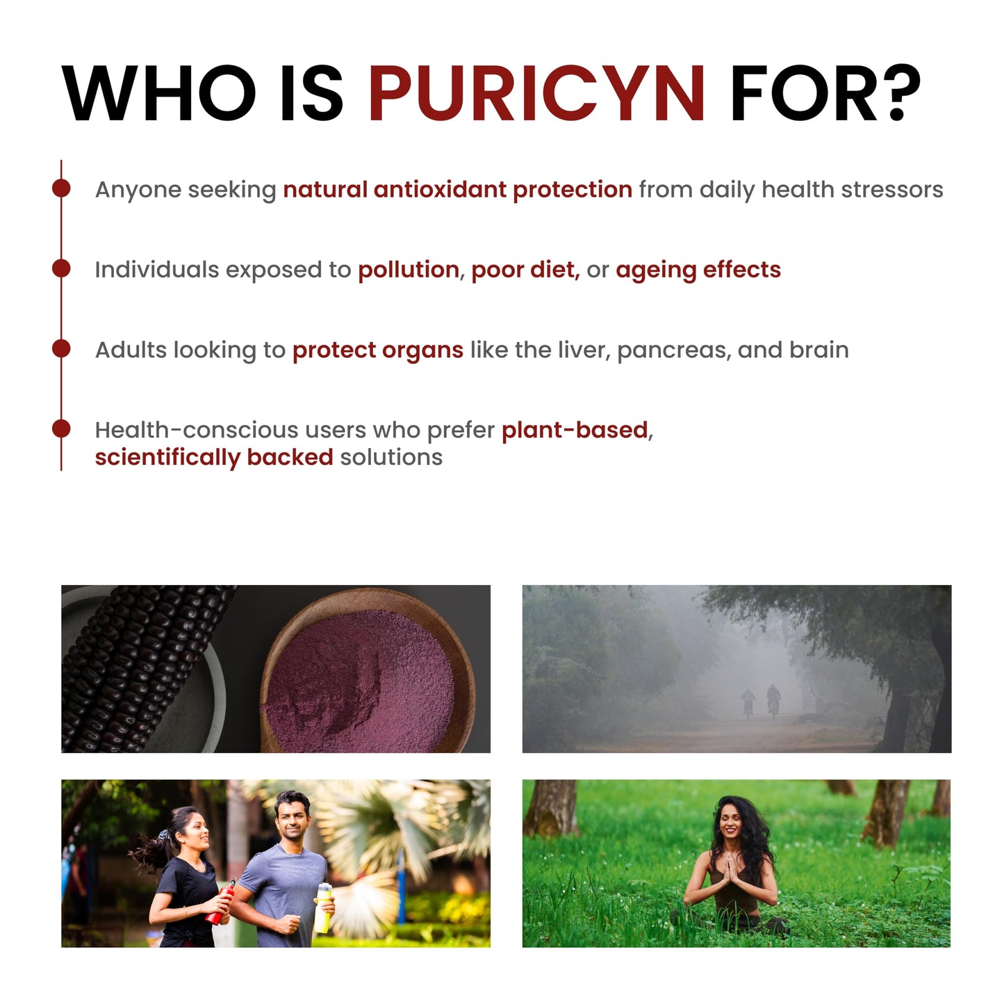 Puricyn by Purple Life Sciences | Antioxidant & Anti-Inflammatory Supplement | Supports Glucose & Insulin | Energy & Immunity Support | 30 Capsules
