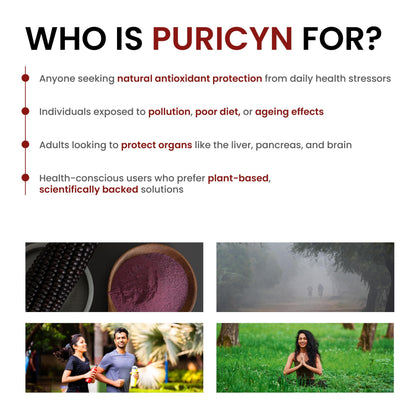 Puricyn by Purple Life Sciences | Antioxidant & Anti-Inflammatory Supplement | Supports Glucose & Insulin | Energy & Immunity Support | 30 Capsules