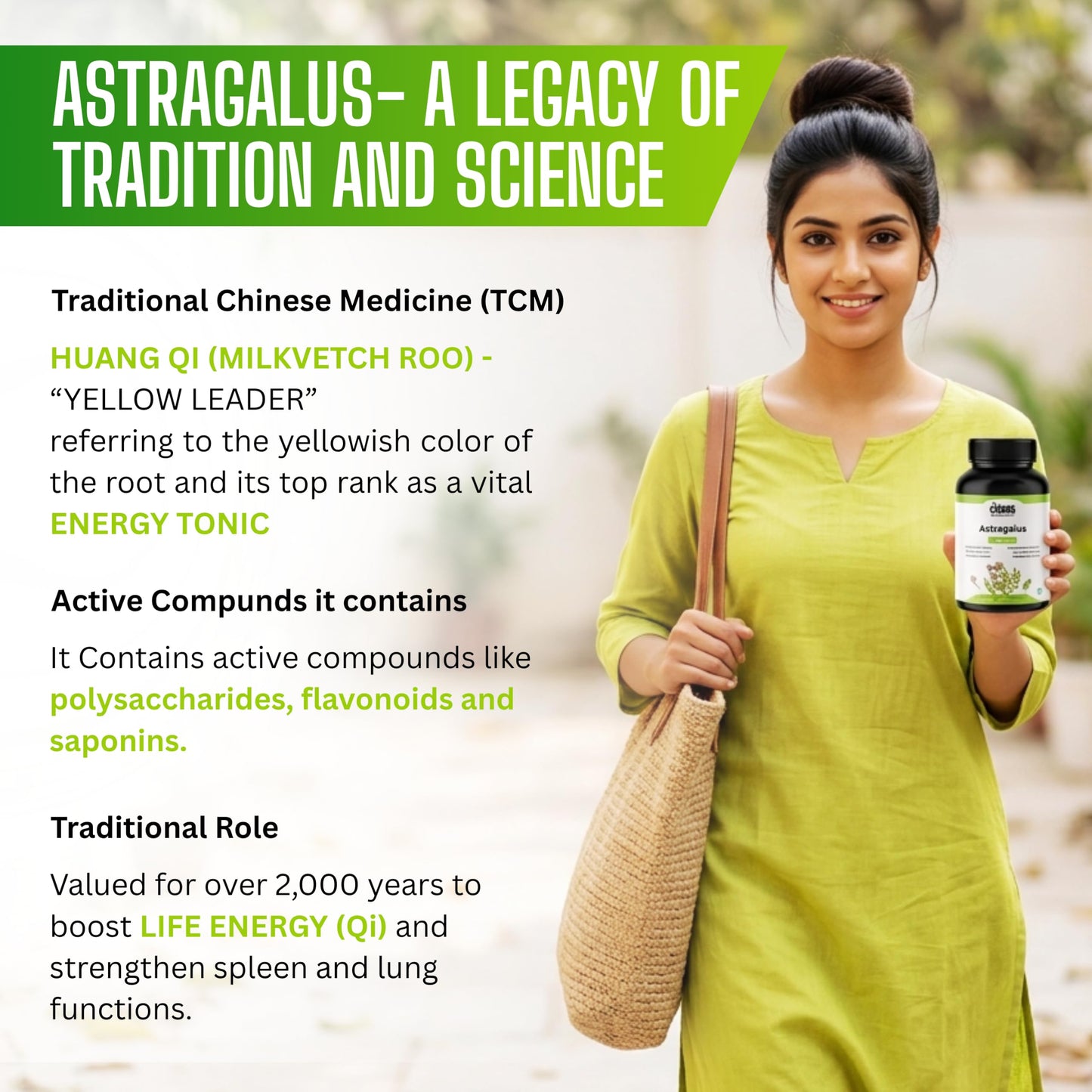 CITRUS NUTRACEUTICAL Astragalus Root Extract 500mg