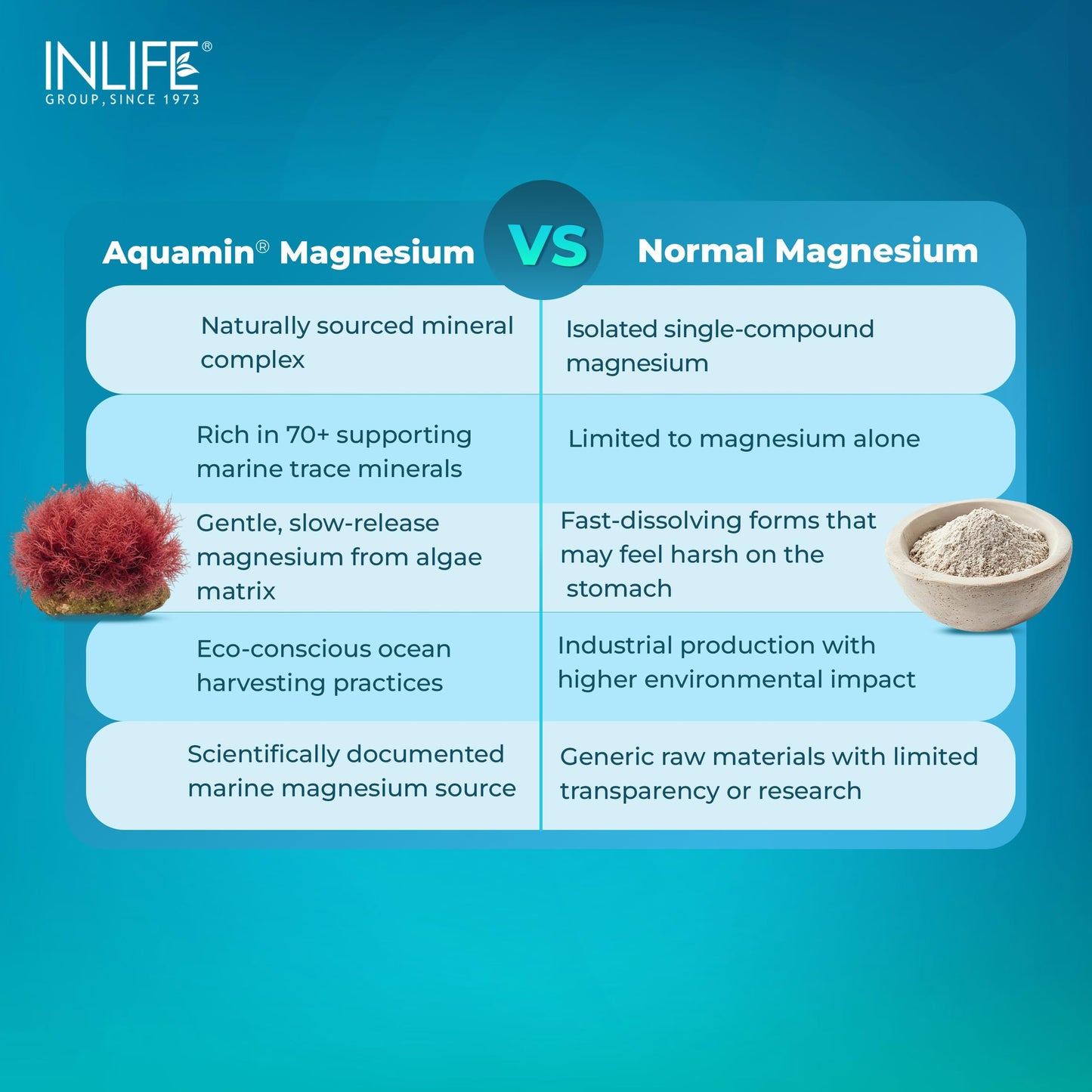 INLIFE Aquamin Marine Magnesium, Highly Bioavailable with 70+ Trace Minerals, Muscle Bone & Gut Health Support, 60 Veg Capsules