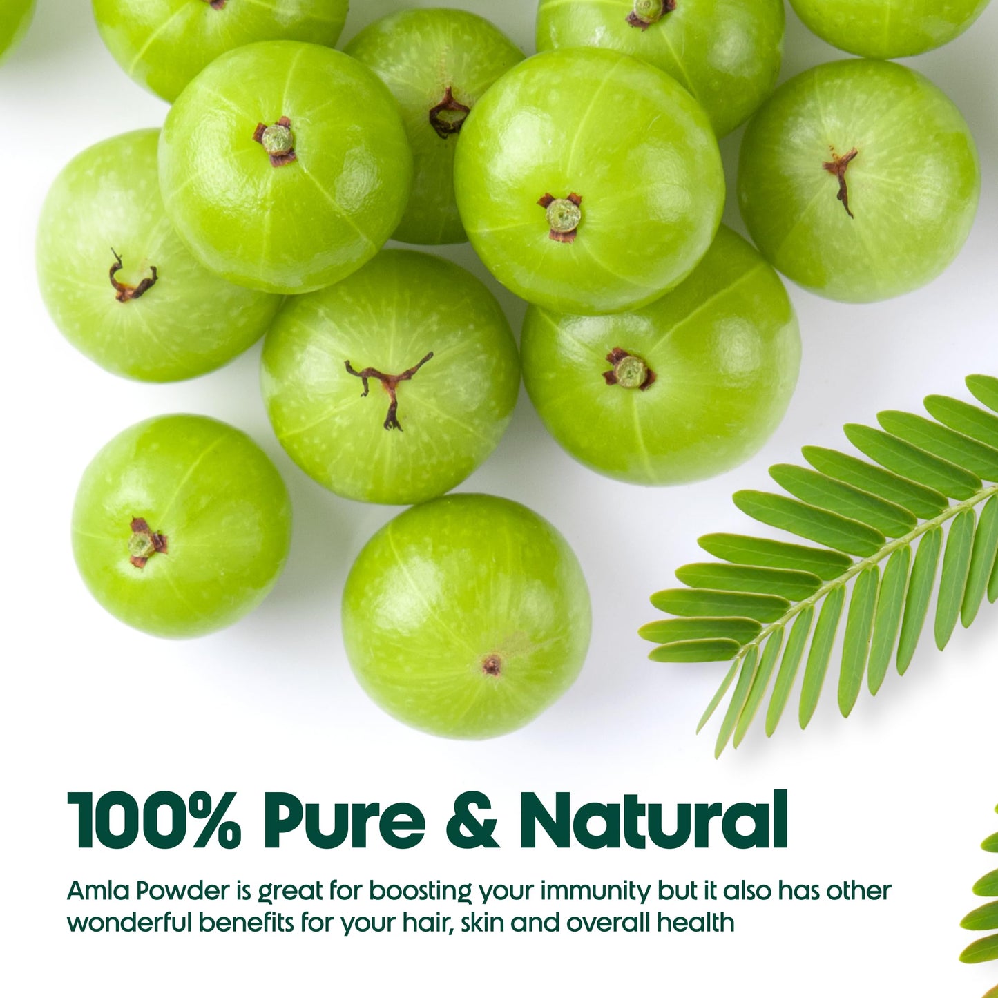 MYHERB 100% Natural Organic Amla Indian Gooseberry Powder (Dry), For Sk- image 3